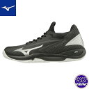 ミズノ(mizuno) テニスシューズ WAVE IMPULSE WIDE OC ウエーブインパルス (19aw) クレー・砂入り人工芝コート用 ブラック×シル...