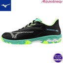 ミズノ(mizuno) テニスシューズ WAVE EXCEED LIGHT 2 OC ウエーブエクシードライト (24aw) クレー・砂入り人工芝コート用 ブラ...