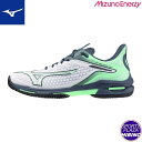 ミズノ(mizuno) テニスシューズ WAVE EXCEED TOUR 6 OC ウエーブエクシードツアー (25ss) クレー・砂入り人工芝コート用 ホワイ...