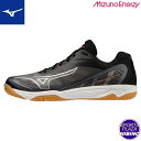 ミズノ(mizuno) バレーボールシューズ MIZUNO FLY ミズノフライ シューズ (23ss) ブラック×シルバー×レッド V1GA233001
