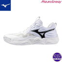 ミズノ(mizuno) バレーボールシューズ WAVE MOMENTUM ELITE ウエーブモーメンタム シューズ (25aw) ホワイト×ブラック V1GA251251
