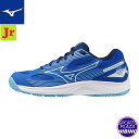 ミズノ(mizuno) バレーボールシューズ CYCLONE SPEED 4 Jr. サイクロンスピード シューズ (24aw) ブルー×ホワイト×ネイビー V...