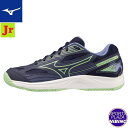ミズノ(mizuno) バレーボールシューズ CYCLONE SPEED 4 Jr. サイクロンスピード シューズ (24ss) パープル×グリーン V1GD2...