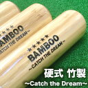 硬式野球用バット Catch the Dream(キャッチ・ザ・ドリーム) トレーニング用バット 実打可能 合竹バット バンブー 打撃可 実打可能 木製 一般 高校生 クリアー 84cm×1000g平均  takebat