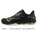 ~Ym (mizuno) EG[uGNV[hCg 2 WIDE OC ejXV[Y (23AW) ubN~S[h~zCg 61GB231801u0927v