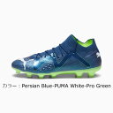 プーマ(puma) メンズ フューチャー プロ HG/AG サッカー スパイク (23aw) Persian Blue-PUMA White-Pro Green 10736203