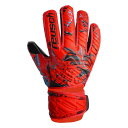 ロイシュ(reusch) アトラクト シルバー JR キーパーグラブ (23fw) ブライトレッド/フューチャーブルー/ブラック 5362215-3333 2