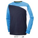 ミズノ(mizuno) TL Tシャツ/長袖 Tシャツ (19SS) ディーバブルー×DPネイビー 32MA914024【決算P10】【SS2403】