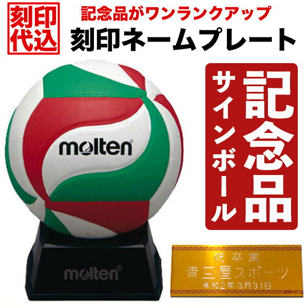 【刻印ネームプレート付き】モルテン (molten) バレーボール サインボール ホワイト×レッド× ...