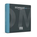THOMASTIK ヴァイオリン弦 DOMINANT PRO ドミナントプロ G線 シンセティックコア 4/4 DP04