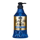 プロスタッフ(Prostaff) 洗車用品 カーシャンプー ガチアワシャンプー 760ml 濃縮タイプ S184