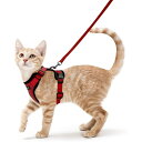 Rabbitgoo 猫 ハーネス リード セット 抜けにくい ソフト胸あて 軽量 超小型犬 小型犬 猫 散歩 用 ハーネス 胴輪 足を上げず装着完成 サイズ調節可 夜反射 通気メッシュ 咳込み防止 猫 散歩 紐 ひも はーねす りーど(レッド XS)