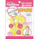 日本パフ わんわんベビー ふんわりフロス 30本入り 1才頃~(歯が生えはじめたら) ベビー用フロス