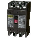 日東工業 漏電ブレーカ(経済形) GE53A3P50AF30H