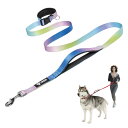 TSPRO ハンズフリー犬用リード 調節可能な散歩・ランニング用 安全コントロールパッドハンドル付き 重いクラスプ搭載 中型~大型犬用 (ブルーパープルグラデーション,L)