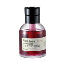 晴香堂(HARUKADO) カーオール 車用 芳香剤 シークス リキッド ブラックベリー 160ml 3585