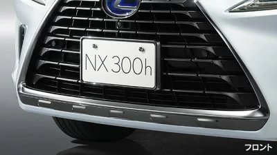 LEXUS レクサス 純正 アクセサリー パーツ NX300 NX300h ナンバーフレーム(前後)ロックボルト※適用要確..