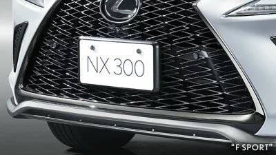 LEXUS レクサス 純正 アクセサリー パーツ NX300 NX300h ナンバーフレーム(フロント・リヤ)ロックボルト※適用タイプ要確認 セレスティアルブルーガラスフレーク