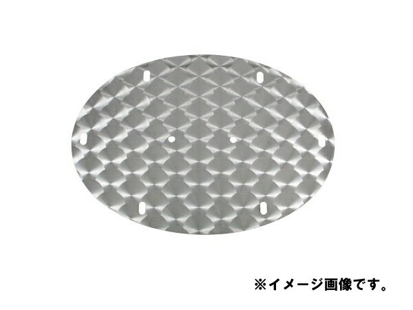 Other - メール便可　JETイノウエ　日野　エンブレムプレート　ウロコ　穴あり　17プロフィア　524464