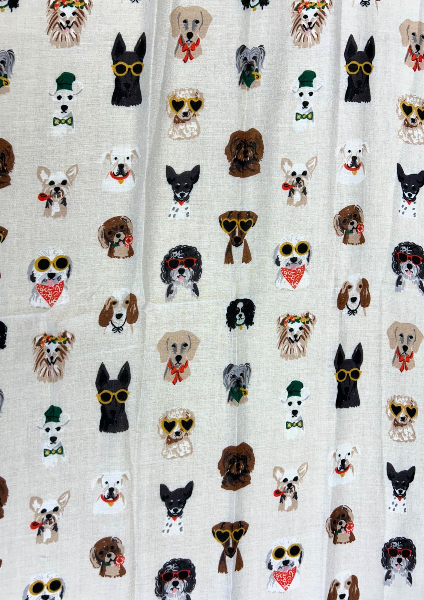 ��3�����١���Ƚ���ȡ��� �������� ���� �ɥå� dog �ץ��� �١����� �ۥ磻�� ��ǥ����� �礭�� ���󥰥饹 ���