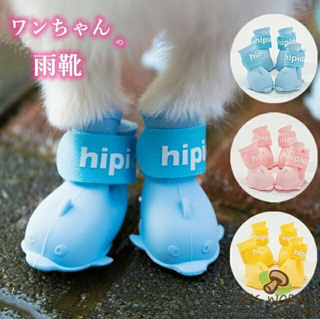 ���ѱ��� �ɥå����塼�� ���ѥ��塼�� ������ ���ߤ� 3�����٤� ���� �ڥå��� ���� �쥤�� �֡��� �ե������ �ɿ奷�塼�� �ݸ�塼�� �쥤�󥷥�...