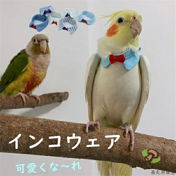 インコウェア インコ 鳥 首輪 調整可能 ソフト 軽量 かわいい 無地 ペット雑貨 安全素材で作り 安心感 サイズ選択 ペット用品 小動物