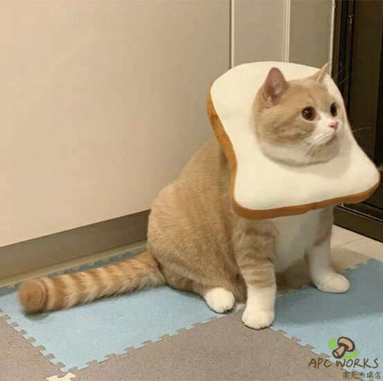 送料無料 エリザベスカラー 猫 パン トースト 食パン 全5サイズ 猫用エリザベスカラー 犬 犬用 ペット ウェア おしゃれ 猫グッズ 小型犬 犬グッズ ソフト 柔らかい ふわふわ クッション 軽量 手術 傷 保護 足 舐め防止 引っ掻き防止 去勢手術 介護 保護襟