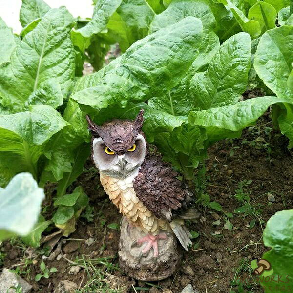APC WORKS楽天市場店のフクロウ 鳥よけ 鳩よけ 鳥対策 本物そっくり 樹脂 防鳥防獣対策 カラス対策 防鳥具 鳥よけグッズ 置物 オーナメント 装飾 ディスプレイ ガーデニング 庭 ガーデン ベランダ 屋外 装飾 ブジェ 撃退ハト スズメ カラス 雀 ムクドリ ヒヨドリ撃退｜アングル3