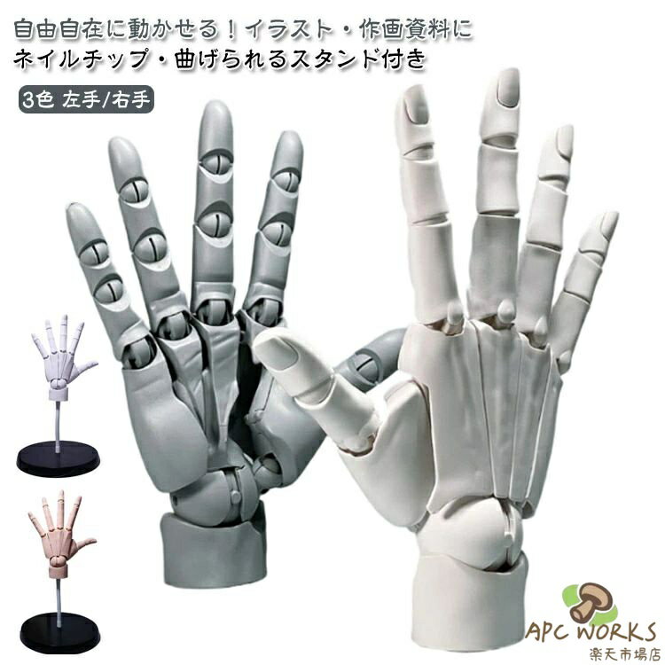 乐天商城 - 【曲げられるスタンド付き】 1/1 ハンドモデル 左手 右手 R L 可動式 バイオニック指関節 ネイルチップ付き アニメ デッサン用素体美術 フィギュア ホワイト グレー スキンカラー モデル ハンド 模型 イラスト デッサン 可動手首