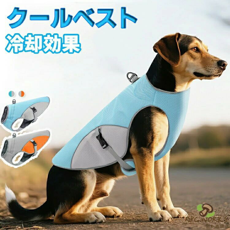 ������٥��� �� �ڥå� �䴶������ �к� ���� ���Ф��� ��Ŭ �����䴶�٥��� �뤵�к� �Ҥ��� �� ���� ��䤹 ˹�� ������ �䴶���� �٥��� �����륦...