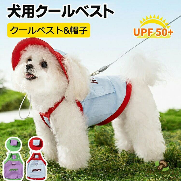 �ڥå� ������٥��� �� �䴶 ���å� �̵� ��� �ä��� �β�Ĵ�� Ǯ����к� �٥��� ���� ��ѥ٥��ȸ� �䴶������ ������ �䴶���� �٥��� �䴶���� ��...