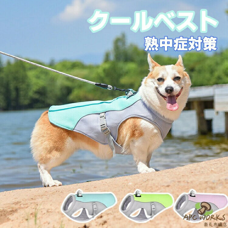 �ڥå� ������٥��� �� �å����� �䴶 ���å� �夻�䤹�� �� ��Ŭ ��æ��ñ �̵� ��� ���ʼ� �ä��� �β�Ĵ�� �Ҥ����䴶������ Ǯ����к� �٥��� ...