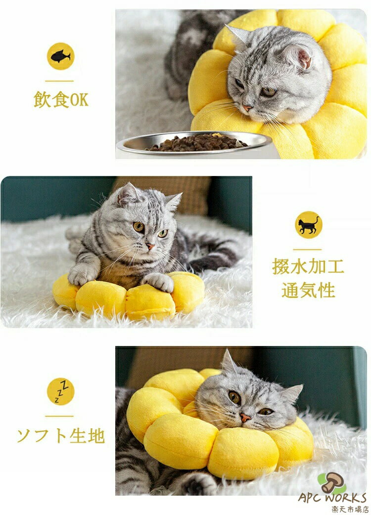 ���ꥶ�٥����顼 ǭ�� ���� ���ե� ���餫 �ʼ� ���� �Ѹ� ���餫�� �ݸ�� ���Ӥ��ɻ� �����ɻ� �Ѹ奦���� ��Ŭ Ĵ����ǽ �����ݸ� ���Ӥ��ɻ� �����ߤ��ɻ� ��� �֤Ӥ� �դ�դﹳ�ݥ��顼 ���� �׷�ۼ�