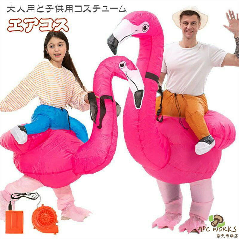 �夰��� �ե�ߥ� �Ҷ��� ����� �ϥ������� ���� �������塼�� �����ץ� �ե�ߥ��夰��� �ե�ߥ�.�٥˥ť� �����ץ� ������� �ϥ������� ������...