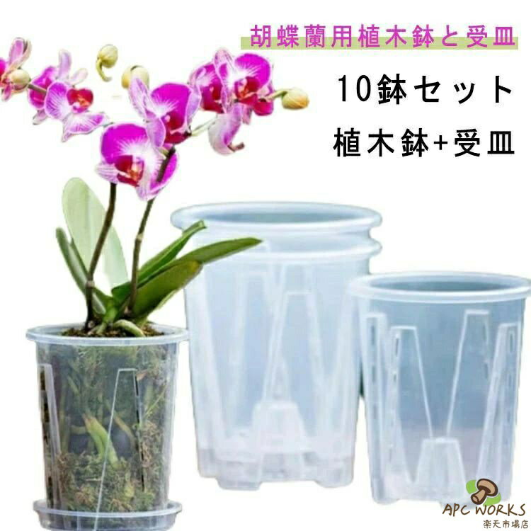 乐天商城 - 穴付き 蝶蘭 植木鉢 育苗ポット 透明 プラスチック 胡蝶蘭鉢 胡蝶蘭の植え替え 蘭の鉢 洋蘭鉢 受皿付き 屋内 屋外 観葉植物 多肉植物 オーキッドポット 10鉢セ 保育園ポット プランター