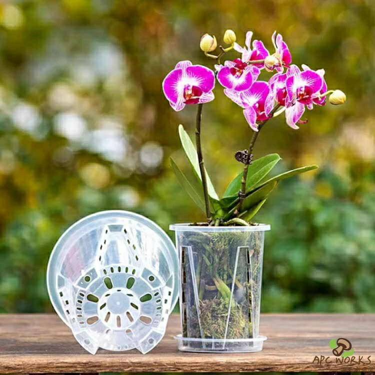 穴付き 蝶蘭 植木鉢 育苗ポット 透明 プラスチック 胡蝶蘭鉢 胡蝶蘭の植え替え 蘭...