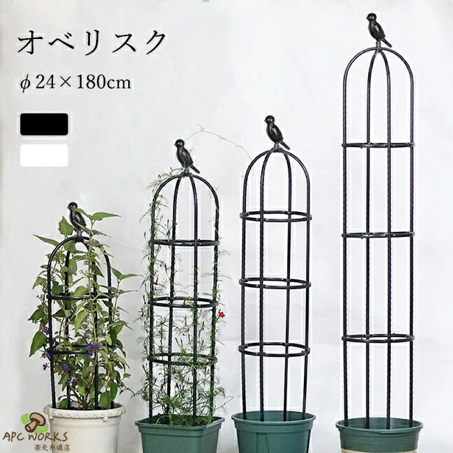 商品情報素材/材質スチールパイプ(樹脂コーティング)、プラスチックサイズ/寸法直径：約24cm 高さ：約180cm 重量：約980gその他商品説明商品内容：小鳥飾り×1個 U字パイプ×2本/R字パイプ×4本（U字/R字ランダム発送） パイプ(短)×12本 パイプ(長)×4本 固定リング×4個 植物の成長を補助する 植物の葉が密集しなくなり、光合成を促進。 バランスを整え、重さで茎が折れるのを防げます。 【高さ調節可能 & 簡易組立式】 高さ120/150/180cmまで自由に調節可能で、つる性植物の成長に合わせて柔軟に対応。 金属製パーツを組み立てるだけの簡単設置（工具不要）。 【頑丈な金属製デザイン】 金属素材で耐久性抜群。 スタイリッシュなオベリスクアーチ形状で、庭やプランターのアクセントに。 【つる性植物の最適サポート】 バラ（薔薇）、クレマチス、朝顔など、あらゆるつる性植物の誘引に最適。 植物の自然な成長を促し、倒伏を防止。 【おしゃれな園芸装飾】 シンプルでモダンなデザインがガーデンやベランダの景観をアップ。 鉢植えや花壇の立体感を演出。 【多用途活用】 プランター周り、庭の小道、エントランスなど、さまざまな場所に設置可能。 季節の花やライトを絡ませて、オリジナルの装飾アイテムとしても活用。 製造元：中国納期商品ページの納期（選択肢ところに書いております）で発送予定、申し訳ございませんが、日時指定は御遠慮下さい お急ぎの方はご了承ください。(天候や交 通事情等の都合により配送期間は前後いたします。予めご承知下さいませ) システムで在庫調整を行っておりますが、ご注文・入金のタイミングにより在庫数更新が間に合わず、 ご注文頂いた商品が欠品となる場合もございます。欠品となった場合は、その旨をメールにてご連絡させて頂きます。 注意モニター発色の具合により色合いが異なる場合がございます。サイズについて商品によっては、多少の誤差がある場合がございます。当店ではラッピングのサービスを行っておりません、ご了承ください。 検索関連キーワード（商品の説明ではありません） オベリスク クレマチス トレリス アイアン バラ 大型 ガーデニング 支柱 ガーデニング支柱 軽量支柱 バラ支柱 園芸支柱 ガーデンミニオベリスク ローズオベリスク 高さ調整可能 バラ 薔薇 オベリスクアーチ プランター おしゃれ 植木鉢 鉢植ち 植物 鉢 庭 栽培 母の日 送料無料 ガーデンアイアン 半円 大型 ローズオベリスク ガーデンオベリスク アイアンオベリスク つるバラ つる 花 ばら クレマチス 菜園 組み立て アイアン 園芸 家庭菜園 園芸資材 資材 園芸用品 小さい庭 狭い庭 おしゃれな庭 和風 ガーデニング庭 目隠し インテリア フラワーアレンジ