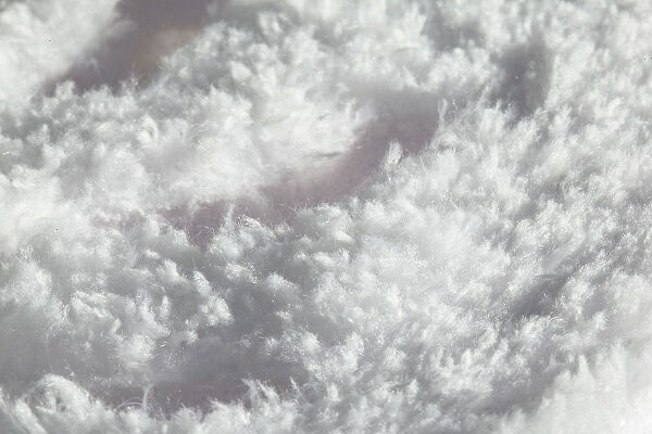 RUPES�ʥ�ڥ��� �ӥå��եå� �ޥ������ե����С� �Х� 80-100mm �֥롼�������ݥ�å��󥰡ʼ��᤭��