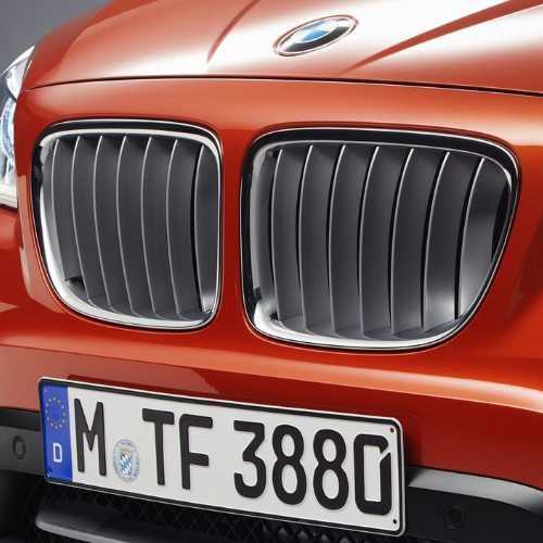 BMW純正 キドニー・グリル(xLine) 左右セット（E84）（2012/07～）