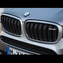 BMW M Performance Lhj[EOiF85 X5Mj