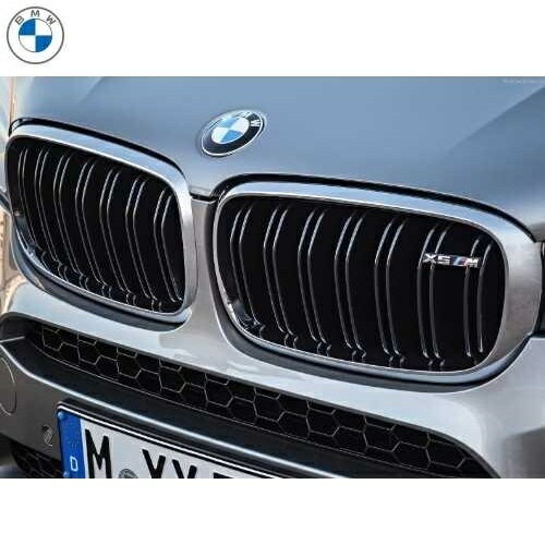BMW純正 M Performance キドニー・グリル (F85 X5M)