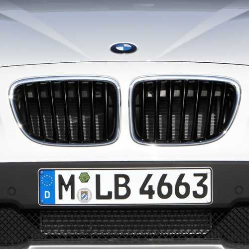 BMW純正 キドニー・グリル（E84）（～2012/07）