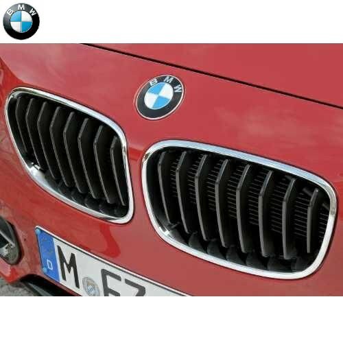 BMW純正 キドニー・グリル(F20)((～2015/02 生産車両用)（Sport/M Sport）