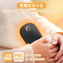 電気カイロ 充電式カイロ 10000mAh ハンドウォーマー 両面急速発熱 防寒グッズ 2段階温度調節 温度表示 モバイルバッテリー 大容量 電気あんか PSE...