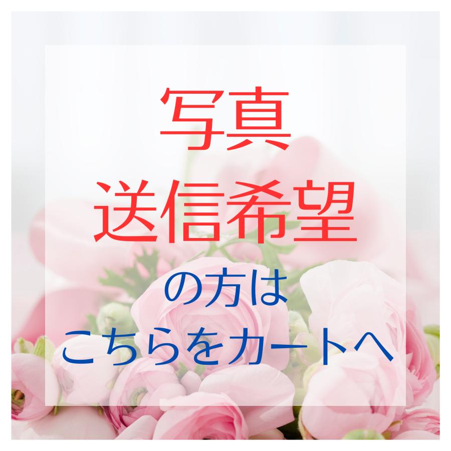 写真希望