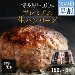 【 父の日 早割 3,999円！】博多黒牛 生ハンバーグ 6個 160g×6個 お取り寄せ 内祝い 国産 土産 プレゼント グルメ 食品 贈答 ギフト 高級 冷凍 個包装 小分け 食べ物 【 送料無料 】 お取り寄せ ギフト 母の日 贈り物 ハンバーグ セット 父の日 お肉