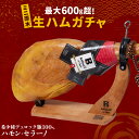 【 送料無料 】生ハム ガチャ 希少種 デュロック豚 を使用 24ヶ月熟成 ハモンセラーノ ミニ原木 最大600g超 ギフト プレゼント グルメ 喜ばれる お肉...