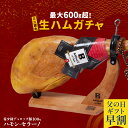 【 父の日 早割 4,280円 】【 生ハムガチャ 】【 送料無料 】 生ハム 2024 希少種 デュロック豚 を使用した 24ヶ月熟成 の ハモンセラーノ ミニ 原木 が 最大600g超で「1つ」届く！ 福引き ハム 母の日 プレゼント 食品 送料無料 ギフト 父の日 日本酒 グルメ おつまみ