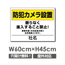 wAPEXŔxhƃJݒu W600mm~H450mm hƃJ J^撆쓮 plŔ v[gŔ Ŕ camera-204