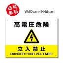 d댯 / ֎~Ŕ W60~H45cm zdW Đ\GlM[̌Œ艿i搧xiFITjΉ High-voltage45